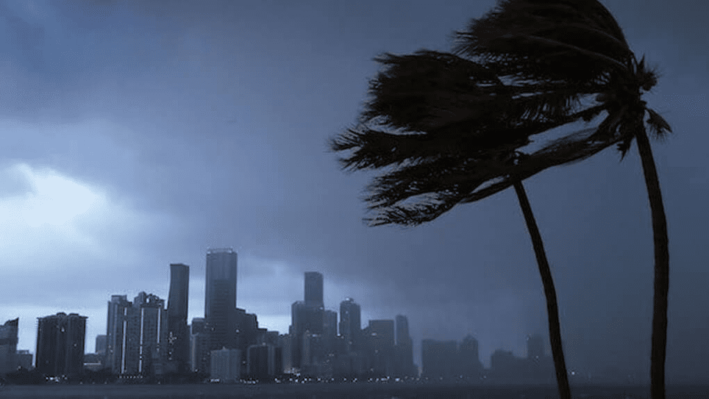 image-59 Tempestades podem comprometer o feriado de 4 de julho na Flórida