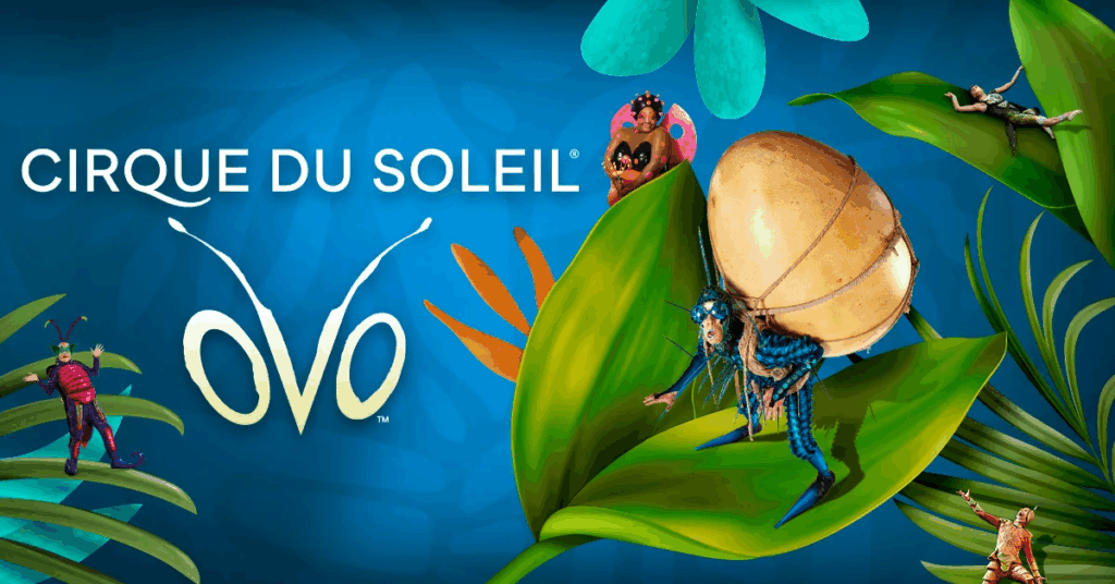 image-10-1024x536 Cirque du Soleil traz de volta o espetáculo “OVO” ao Sul da Flórida em versão renovada