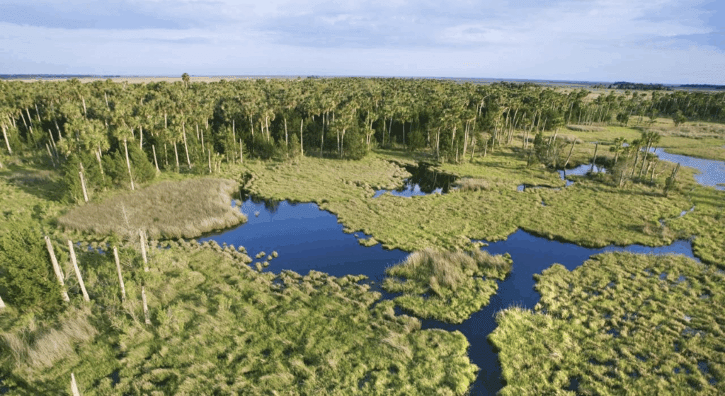 image-7-1024x560 Avião faz pouso forçado e cai nos Everglades, na Flórida