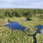 image-7-150x150 Blog